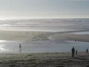 San Gregorio Beach, San Francisco California