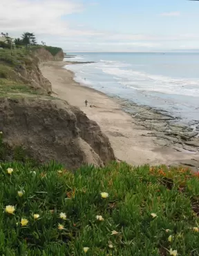 Beach below South Palisades Park. 