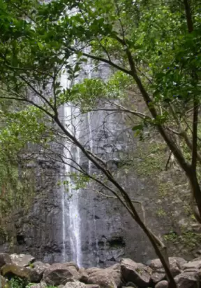 Manoa Falls Hike, Oahu Hawaii