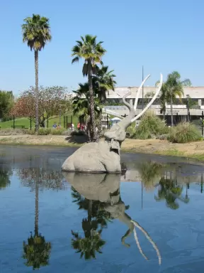 La Brea Tar Pits, Los Angeles California