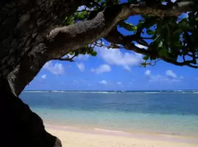 Coast drive up to La'ie, Oahu Hawaii