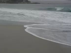 Creamy seafoam rolls over the white sand. 