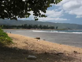 A shady spot to sit. The sand is not so nice though.