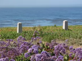 A serene view. 