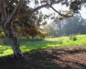 Calle Baquero Park, Santa Barbara California