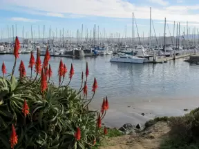 Monterey Harbor, Monterey California