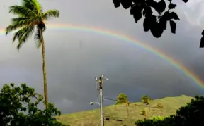 It rains a little every day in Manoa, the valley of the rainbows. When I lived there, I really saw a rainbow every day.