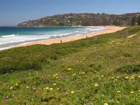 Palm Beach North, Sydney NSW