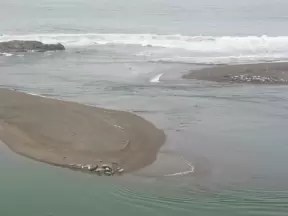 Seal Lookout, Jenner, Wine Country/Santa Rosa California