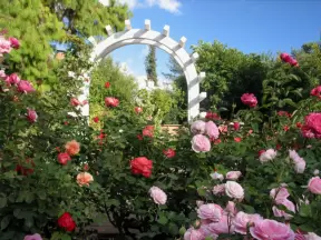 Luther Burbank Gardens, Santa Rosa, Wine Country/Santa Rosa California