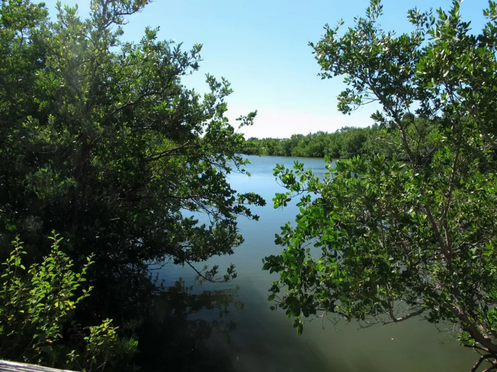 Oleta River State Park, North Miami