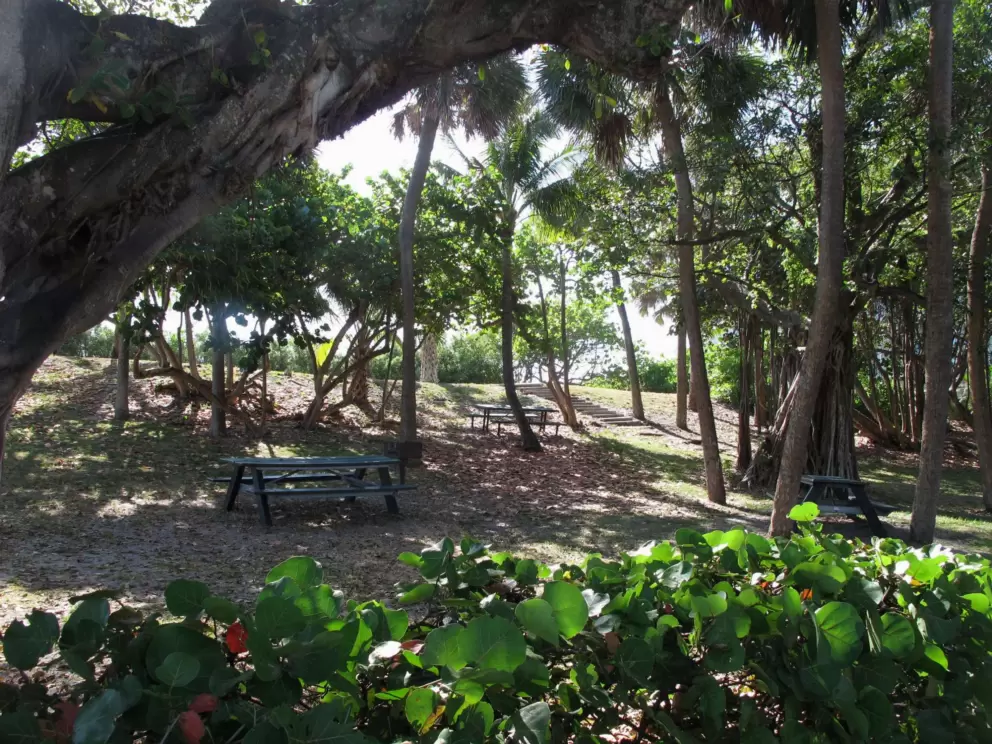 Phipps Ocean Park, Palm Beach