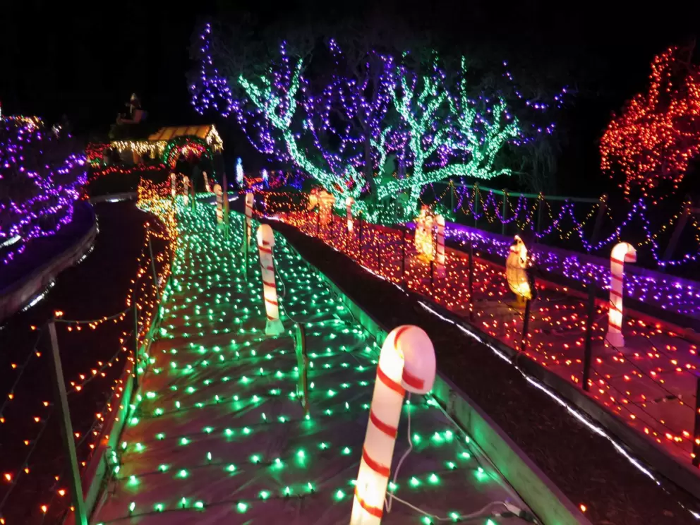 Cambria Pines Lodge Christmas Lights