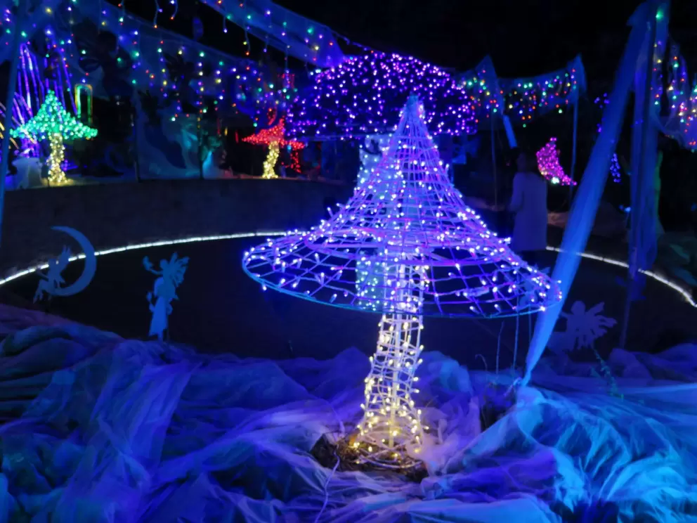 Cambria Pines Lodge Christmas Lights