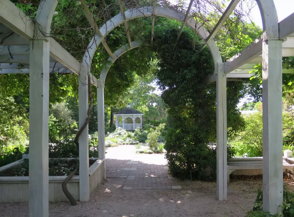 JC Raulston Arboretum, Raleigh