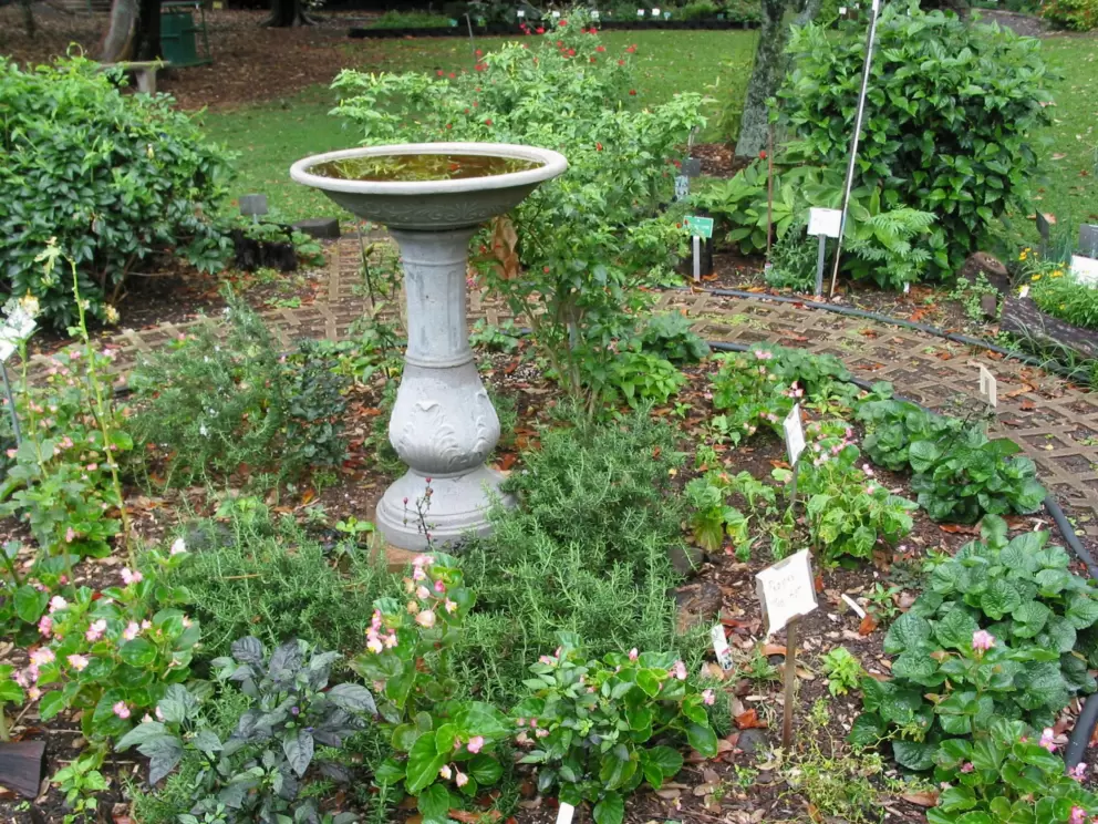 Foster Botanical Garden