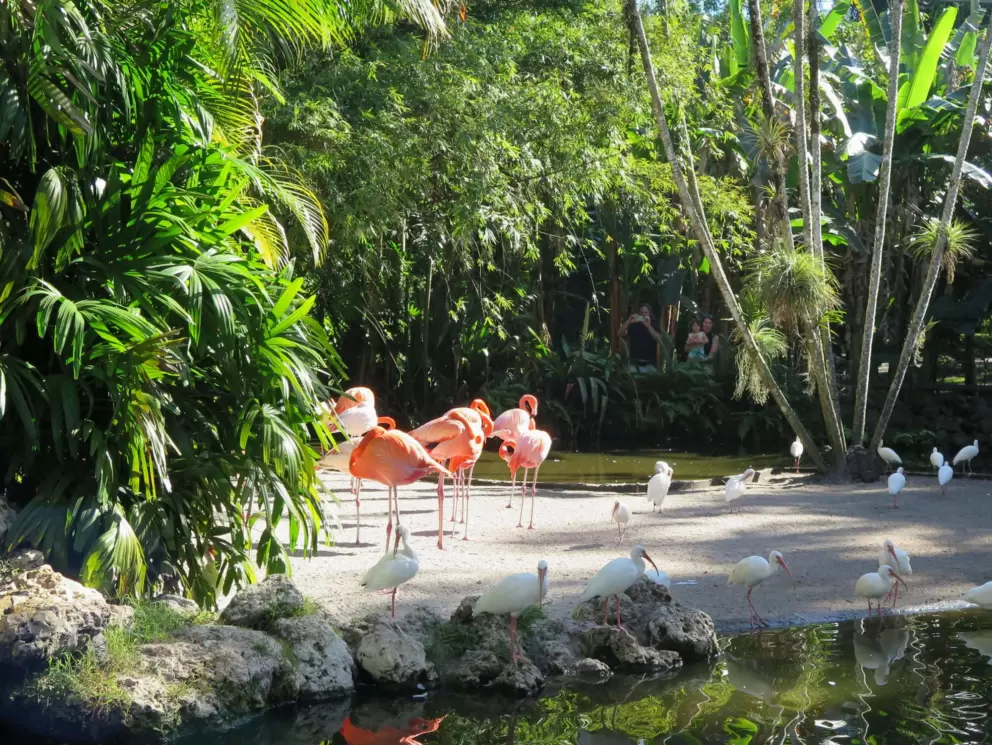 Flamingo Gardens, Davie