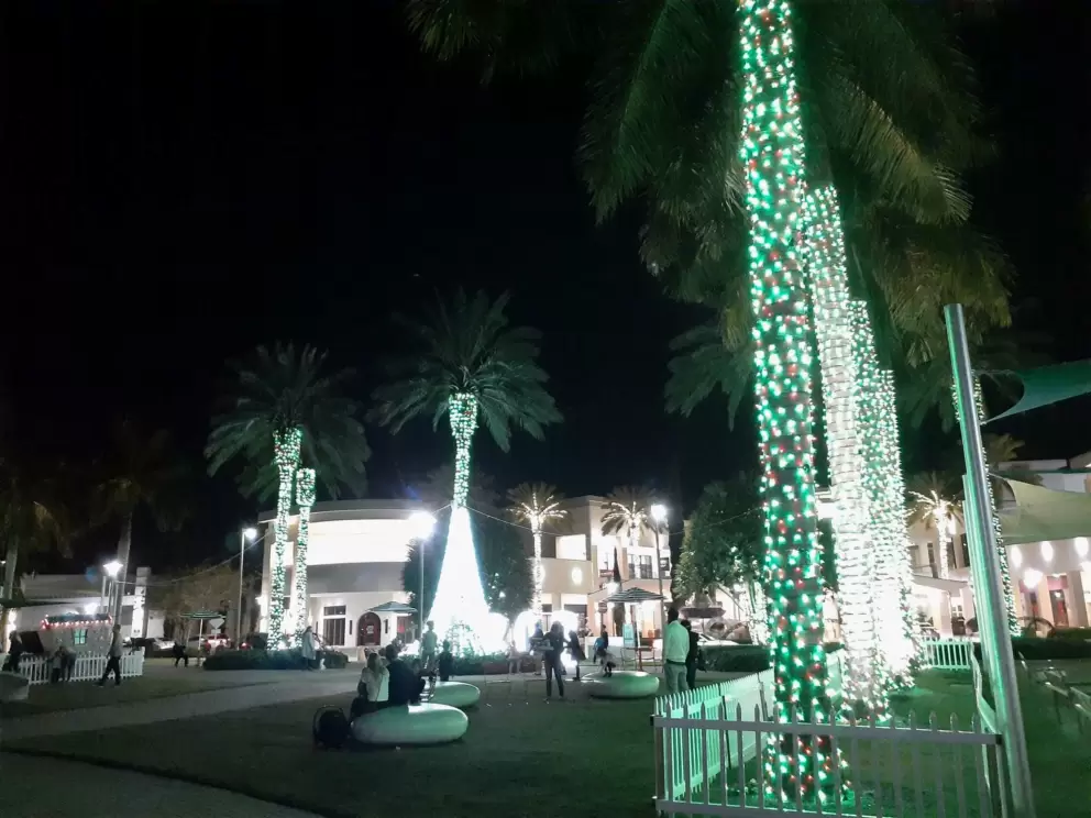 Downtown at the Gardens, Palm Bch Gardens