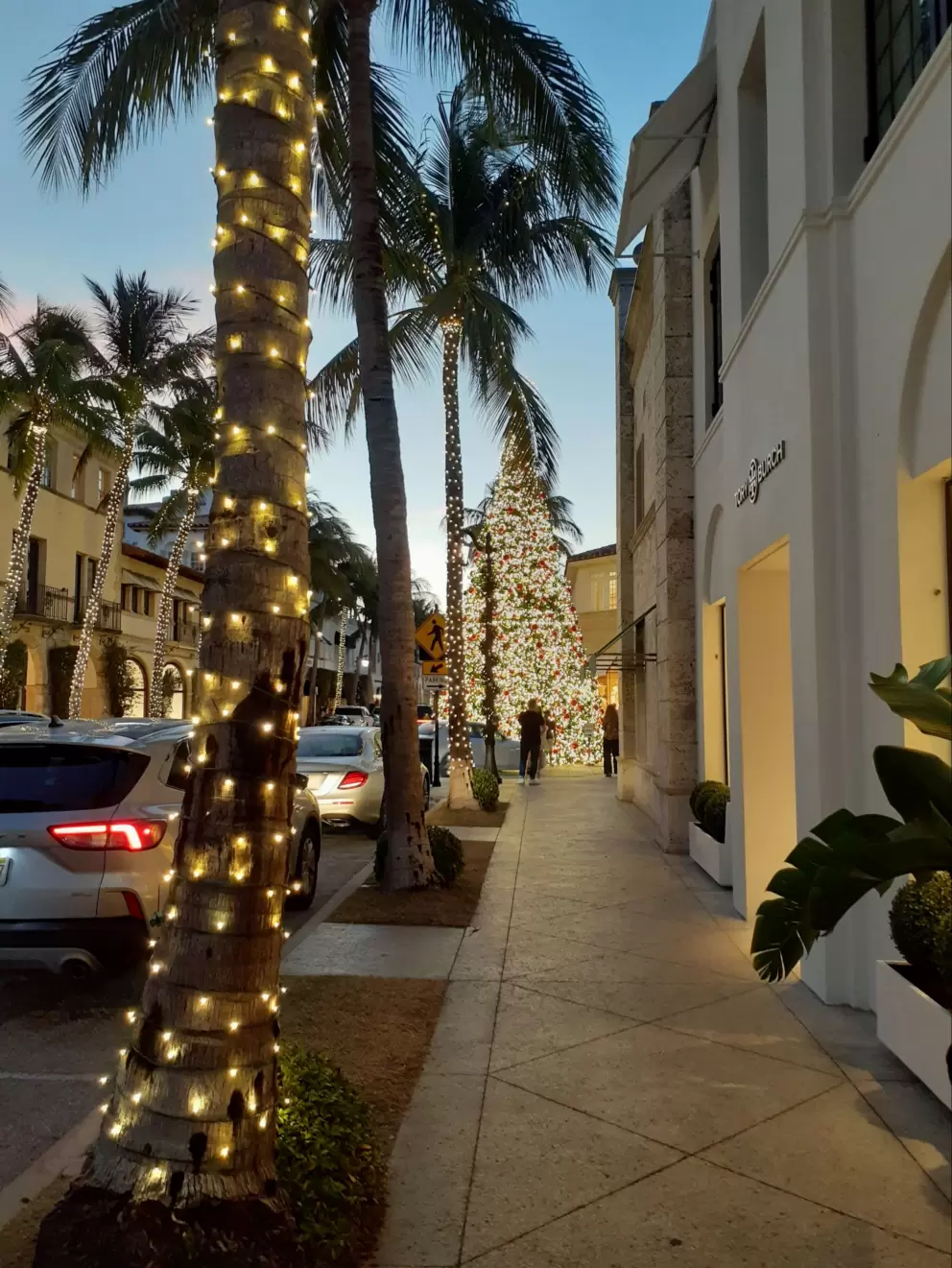 Worth Avenue, Palm Beach 