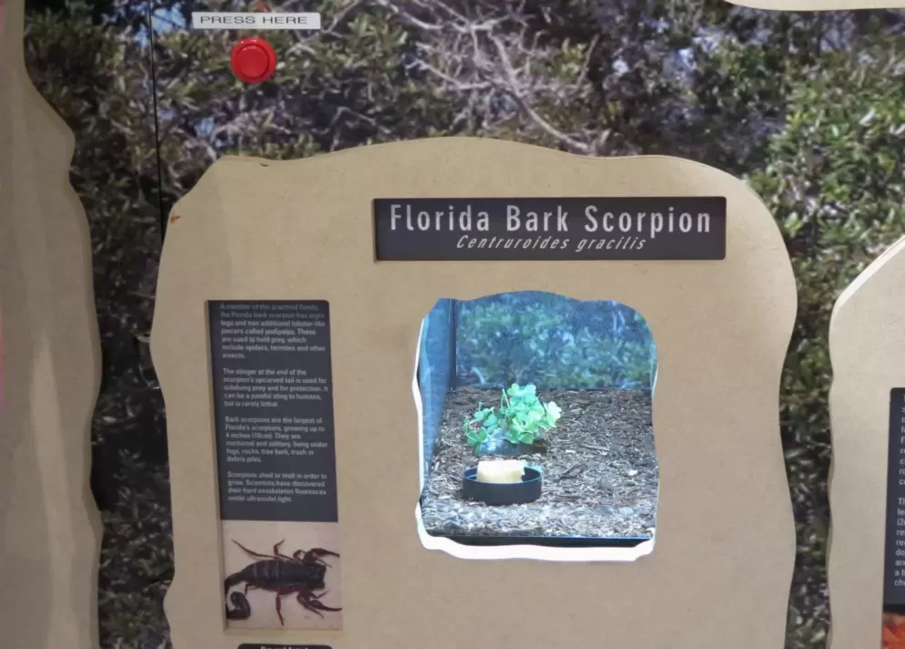 Hobe Sound Nature Ctr and River Bch