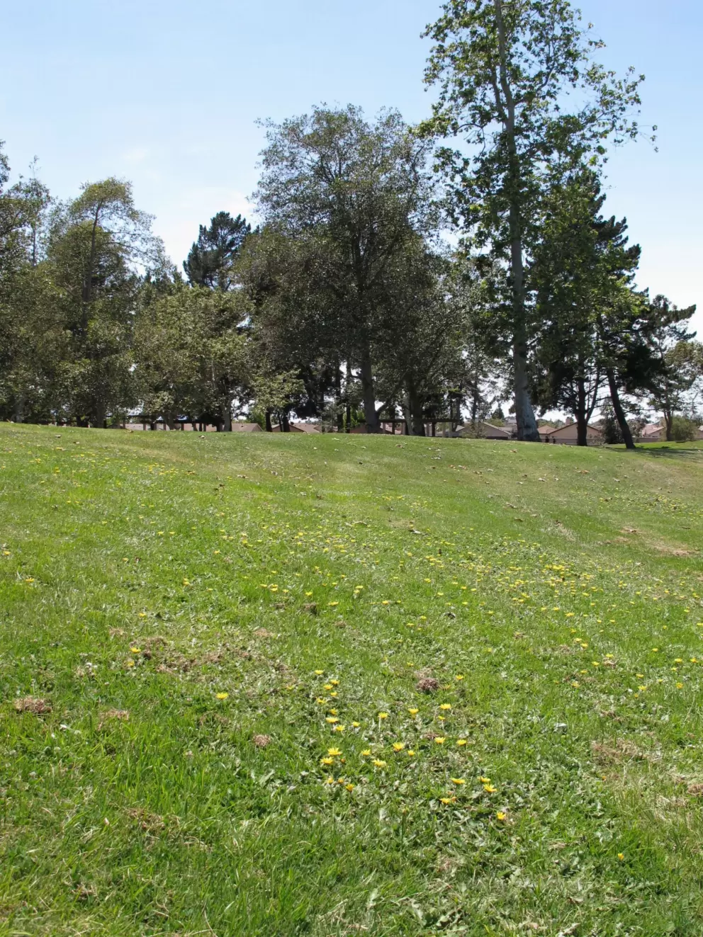 Preisker Park, Santa Maria