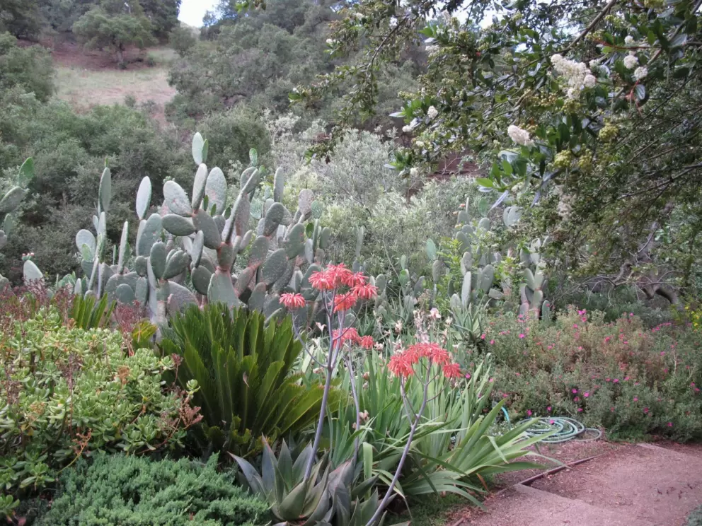 Conejo Valley Botanical &amp; Kid's Garden