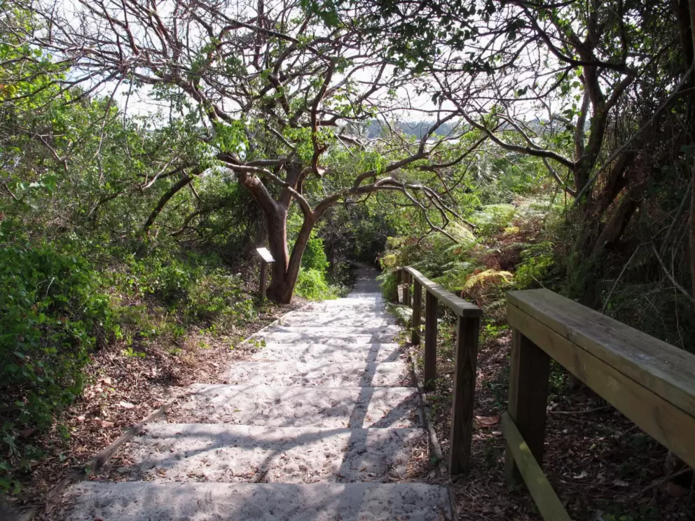 Hobe Sound Nature Ctr and River Bch