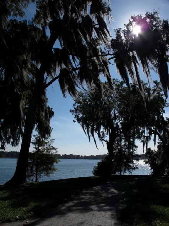 Walk beside Lake Virginia past pretty mansions and beside the lake on the Rollins College campus.