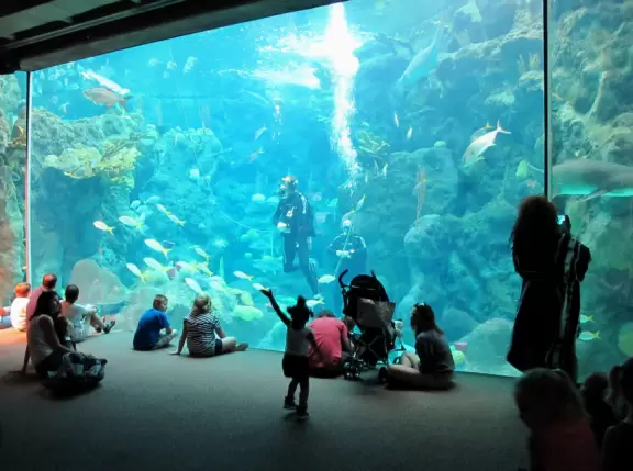 Wonderful aquarium with animals you've never seen before, and an outdoor splash park for kids.