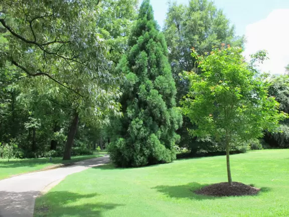 Memphis Botanical Garden