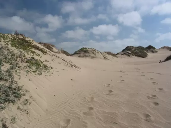 Wild, windswept dunes where the set of the Ten Commandments lays mysteriously buried.