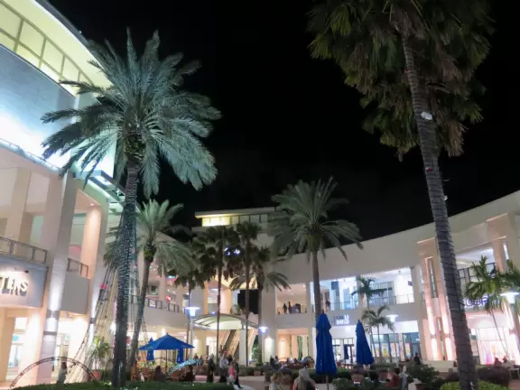 Palm trees in the center of the mall.