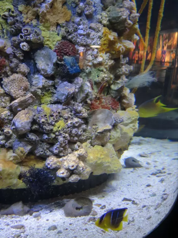 Top notch aquarium with nice temporary exhibits too!