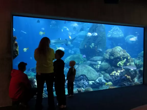 Huge two-building aquarium with gorgeous tanks!