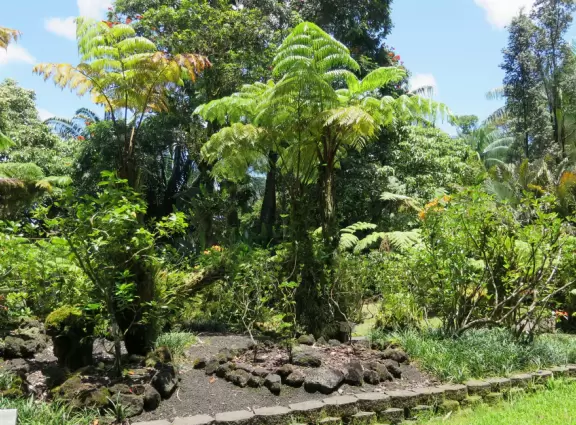 Pana'ewa Rainforest Zoo, Hilo