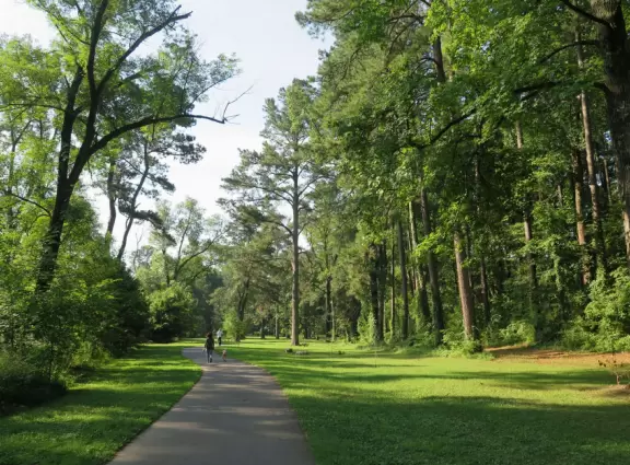 A beautiful park with very tall trees, winding paths, blossoming trees, and lovely patches of grass.