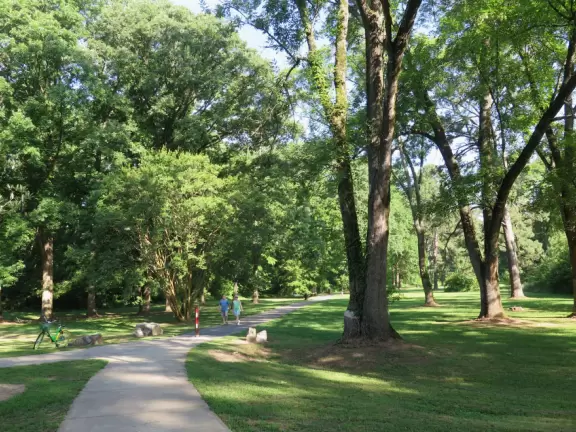 A beautiful park with very tall trees, winding paths, blossoming trees, and lovely patches of grass.