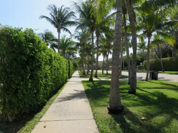 Flagler Drive walk, West Palm Beach