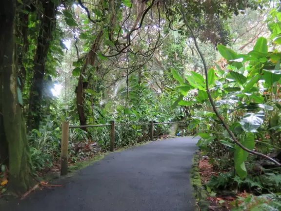 Hawaii Tropical Bioreserve &amp; Garden