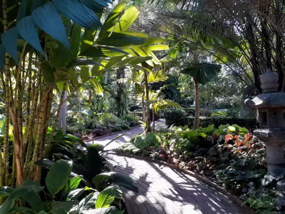 A tropical wonderland of palms, ferns, bromeliads, fountains, sculptures, rocks, ironwork gates, and pergolas, with the delightful scent of flowers filling the air.