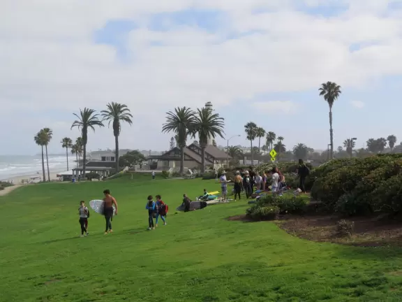 Lively beach with lawn, cypress trees, and lots of people having fun.