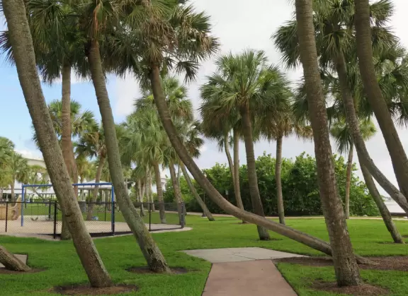 Waterfront park with walking paths under a zillion coconut trees, ship playground in white sand, hopscotch, and colorful pictures and hopscotch on the path.