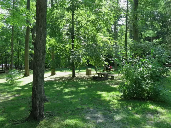 Gorgeous park in a forest with maple trees galore and views over the water.