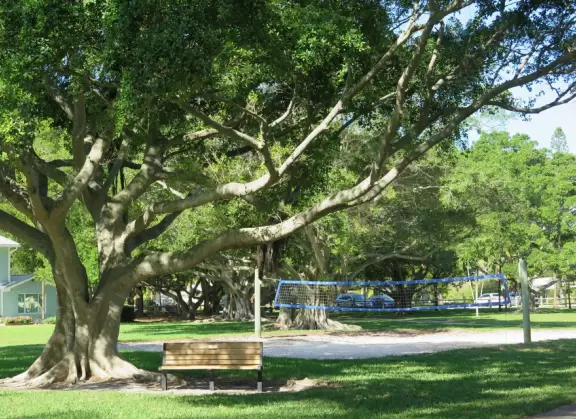 Gorgeous park with white sand beaches, ironwood trees, beach sunflowers, playground, basketball, and a pretty walkway.