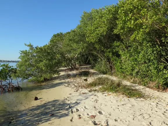 Beautiful trail along the intracoastal beaches, across the street from Blowing Rocks Beach.