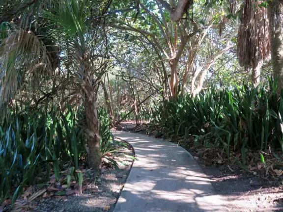 Popular 1.7 mile loop walking path with some shade and wooden boardwalk beside the river.