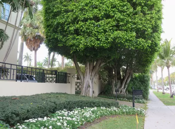 Brazilian Ave and Pan's Garden walk, Palm Beach
