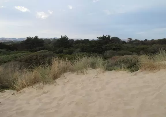 The view behind the dunes.