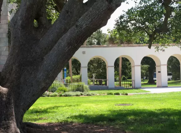 Tiny public honors college in Ringling's former estate on the bay.