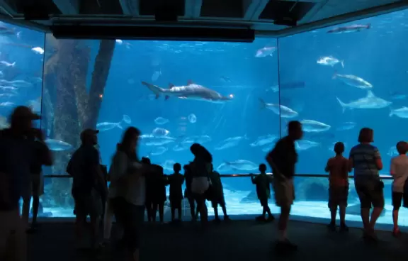 Claustrophobic aquarium with great outdoor exhibit where you can feed parakeets and a do-not-miss IMAX hurricane show.